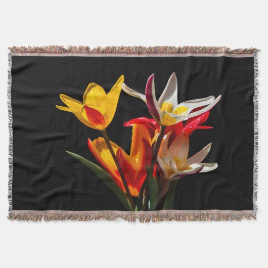 Tulpbloemen tegen zwarte achtergrond deken (Voorkant)
