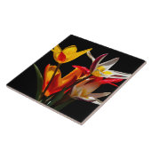 Tulpbloemen tegen zwarte achtergrond tegeltje (Zijkant)
