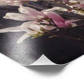 Tulpbomen. Magnolia soulangeana Foto Afdruk (Hoek)