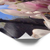 Tulpboombloemen Poster (Hoek)