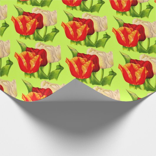 tulpdruk cadeaupapier (Hoek)