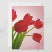 Tulpen (Voorkant)