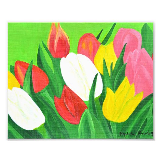 Tulpen1 Foto Afdruk (Voorkant)