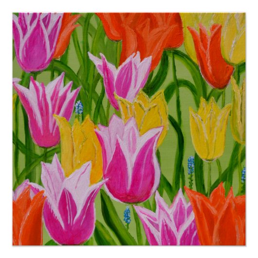 Tulpen1 Poster (Voorkant)