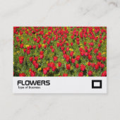 Tulpen 02 visitekaartje (Voorkant)