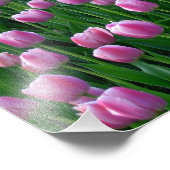 Tulpen 14 afdrukken foto afdruk (Hoek)