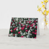 Tulpen 16 leeg Wenskaart Kaart (Gele Bloem)