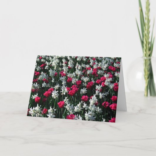 Tulpen 16 leeg Wenskaart Kaart (Voorkant)