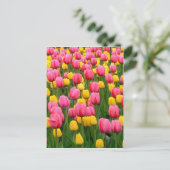 Tulpen 1 Briefkaart (Staand voorkant)