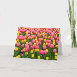 Tulpen 1 leeg Wenskaart Kaart