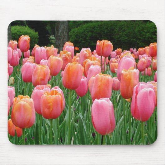 Tulpen #1 muismat (Voorkant)