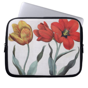 Tulpen: 1.Tulipa globosa serotina cinnabrio colore Laptop Sleeve