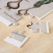 Tulpen: 1.Tulipa lutea maculis rubens; 2.Tulipa au Legpuzzel (Zijkant)