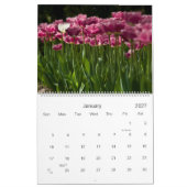 Tulpen 2009-kalender kalender (Jan 2027)