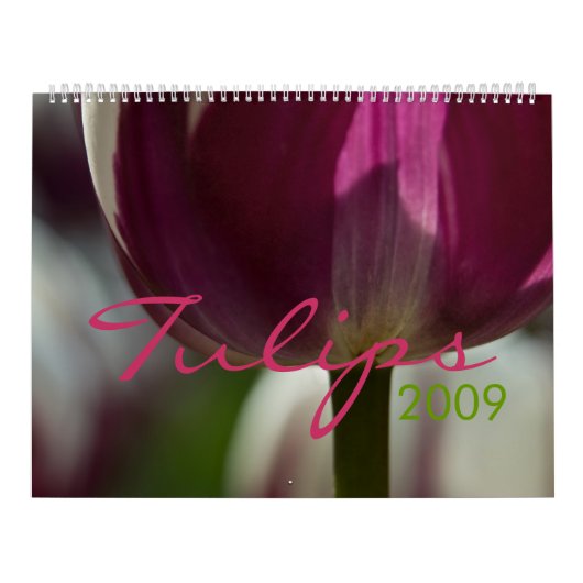 Tulpen 2009-kalender kalender (Hoes)