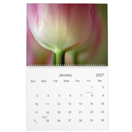 Tulpen 2010-kalender kalender (Jan 2027)