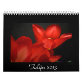 Tulpen 2013 kalender (Hoes)