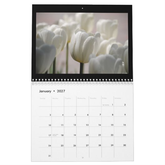 Tulpen 2013 kalender (Jan 2027)