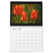 Tulpen 2013 kalender (Feb 2027)
