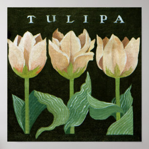 Tulpen 2013 poster
