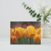 Tulpen 2 briefkaart (Staand voorkant)