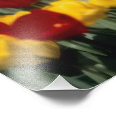 Tulpen 2 foto afdruk (Hoek)