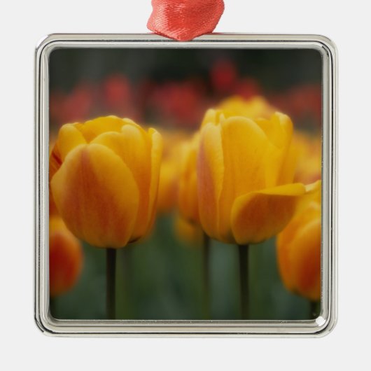 Tulpen 2 metalen ornament (Voorkant)