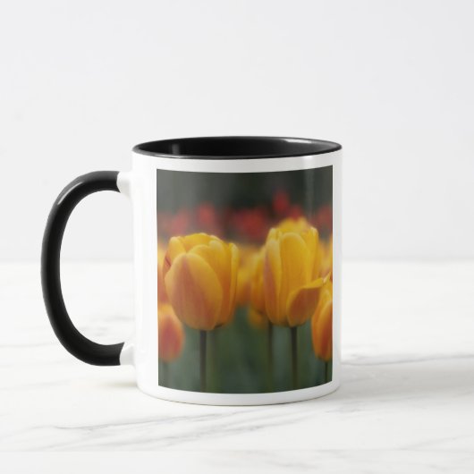 Tulpen 2 mok (Links)
