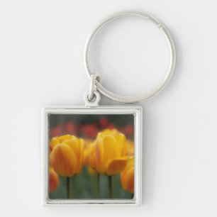 Tulpen 2 sleutelhanger