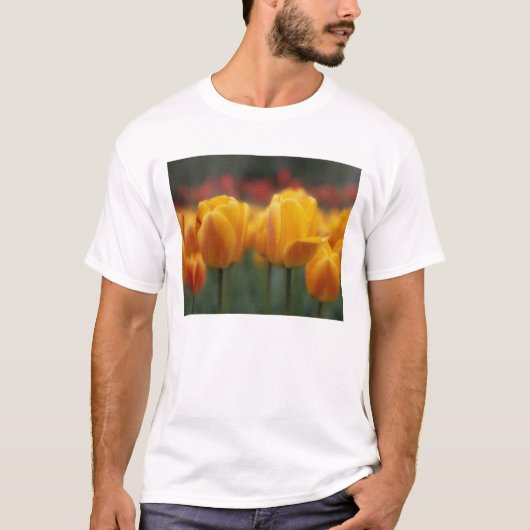 Tulpen 2 t-shirt (Voorkant)