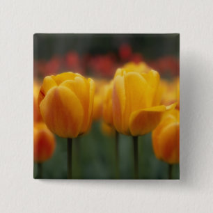 Tulpen 2 vierkante button 5,1 cm