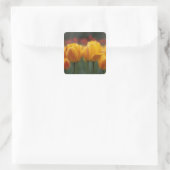 Tulpen 2 vierkante sticker (Tas)