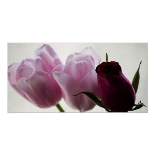 Tulpen 3258 perfect poster (Voorkant)