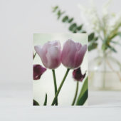 Tulpen 3259 briefkaart (Staand voorkant)