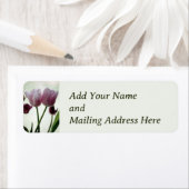 Tulpen 3259 etiket (Insitu)