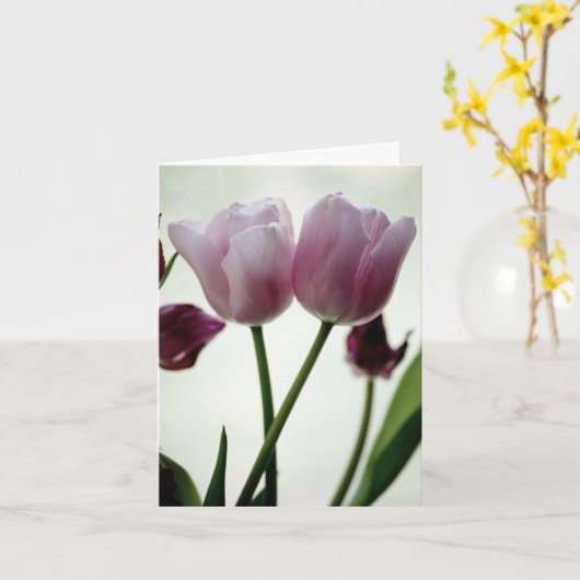 Tulpen 3259 kaart (Gele Bloem)