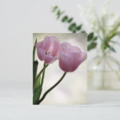 Tulpen 3265 briefkaart (Staand voorkant)