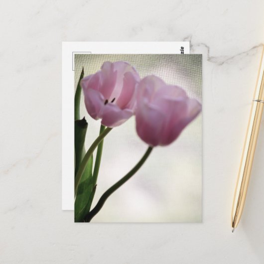 Tulpen 3265 briefkaart (Voorkant / Achterkant in situ)