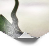 Tulpen 3265 foto afdruk (Hoek)