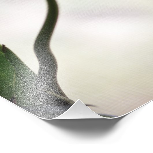 Tulpen 3265 foto afdruk (Hoek)