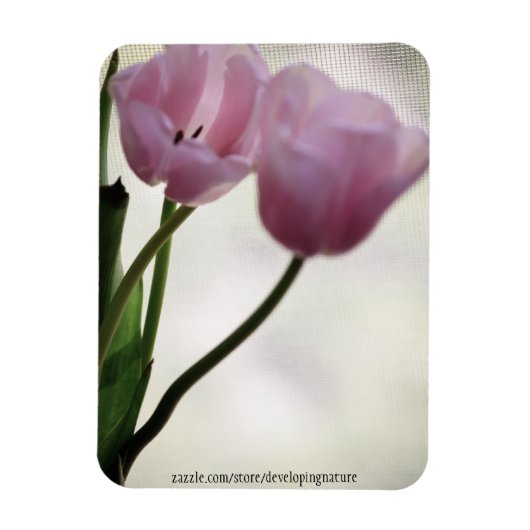 Tulpen 3265 magneet (Verticaal)
