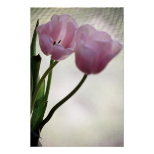 Tulpen 3265 perfect poster