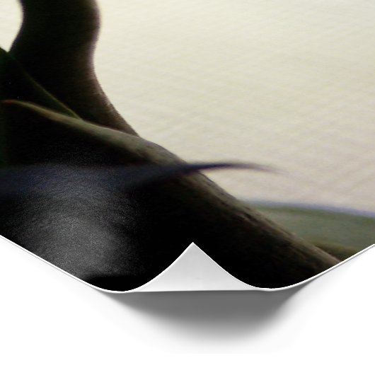 Tulpen 3265 perfect poster (Hoek)