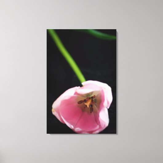Tulpen 3272 canvas afdruk (Voorkant)