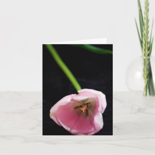 Tulpen 3272 kaart (Voorkant)