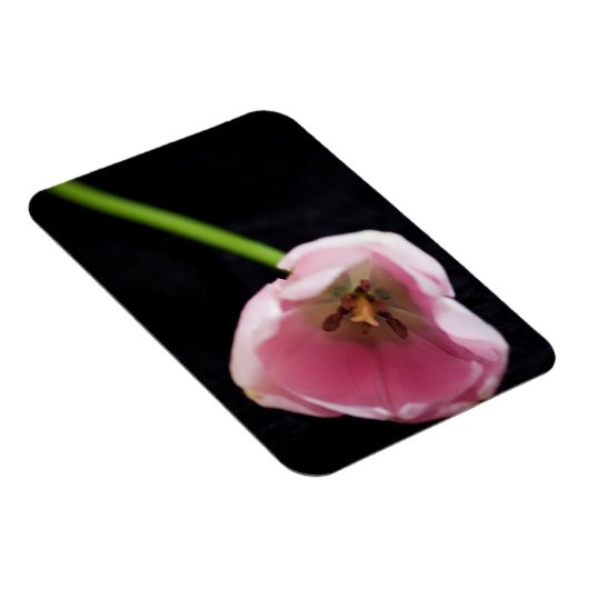 Tulpen 3272 magneet (Rechterzijde)