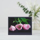 Tulpen 3273 briefkaart (Staand voorkant)