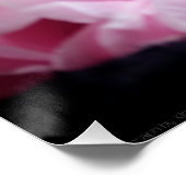 Tulpen 3273 perfect poster (Hoek)