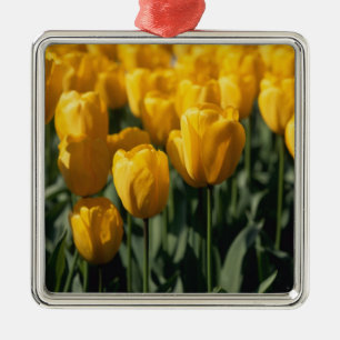 Tulpen 3 metalen ornament