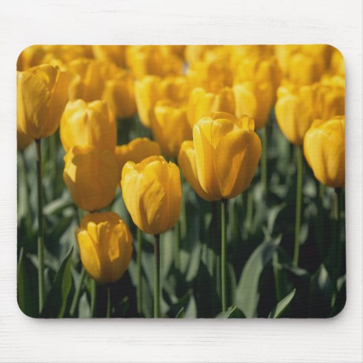 Tulpen 3 muismat (Voorkant)
